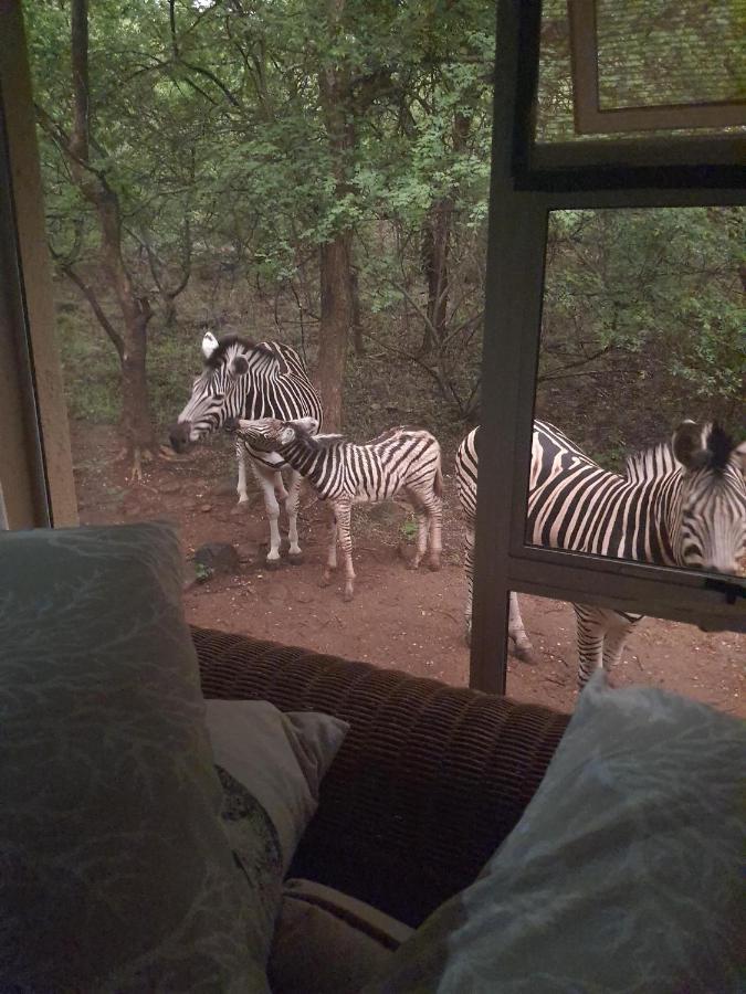Canyon Guest Villa Hoedspruit Bagian luar foto